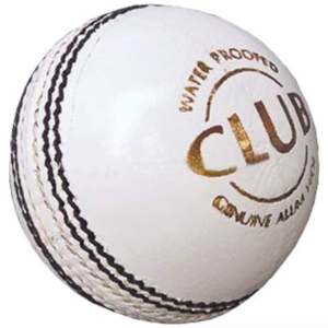 Leather Cricket Ball | Hand Stitched Leather Ball for Practice, Match, and Training | Durable, Water Resistant, Professional Cricket Ball for Club and Academy Use (Pack of 1, White)